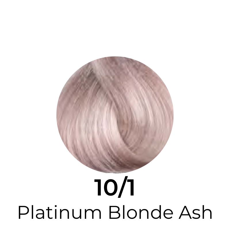 EVER EGO Colorego Ash Permanent Hair Color Cream