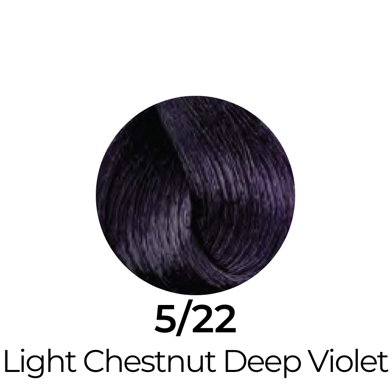 EVER EGO Colorego Deep Violet Permanent Hair Color Cream