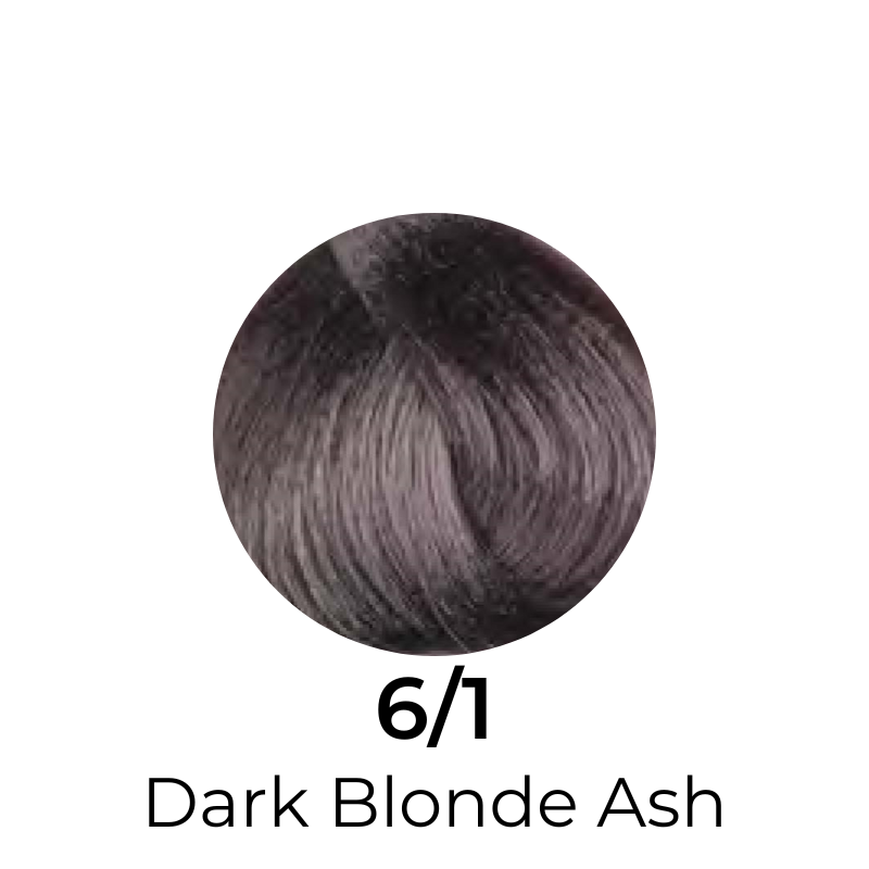 EVER EGO Colorego Ash Permanent Hair Color Cream