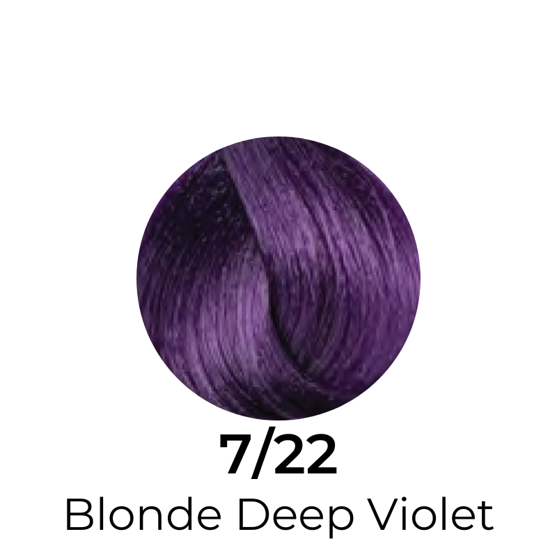 EVER EGO Colorego Deep Violet Permanent Hair Color Cream