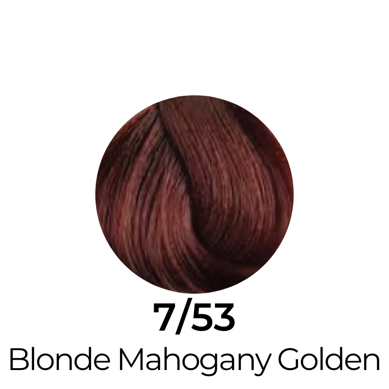 EVER EGO Colorego Mahogany Permanent Hair Color Cream
