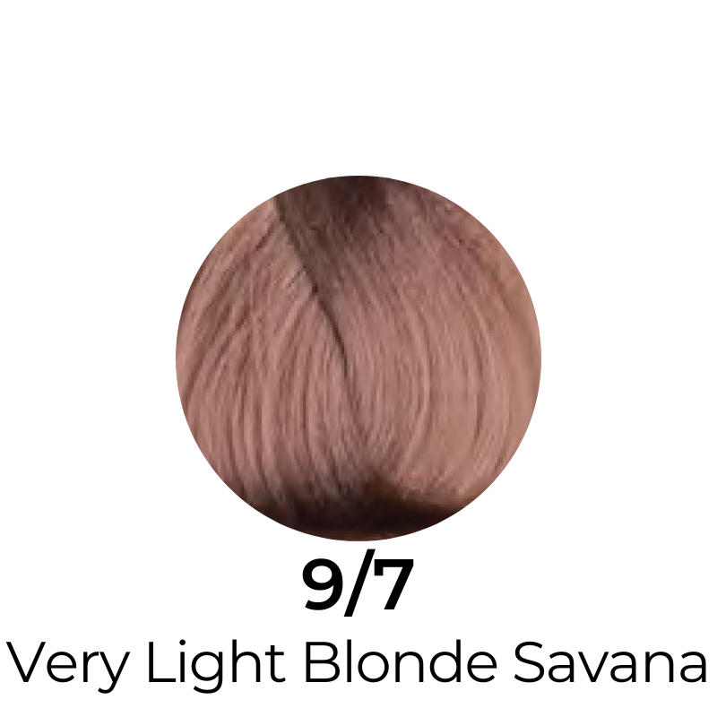 EVER EGO Colorego Chocolate Permanent Hair Color Cream