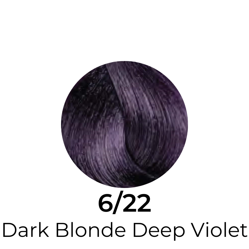EVER EGO Colorego Deep Violet Permanent Hair Color Cream
