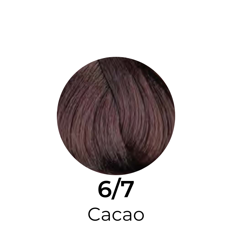 EVER EGO Colorego Chocolate Permanent Hair Color Cream